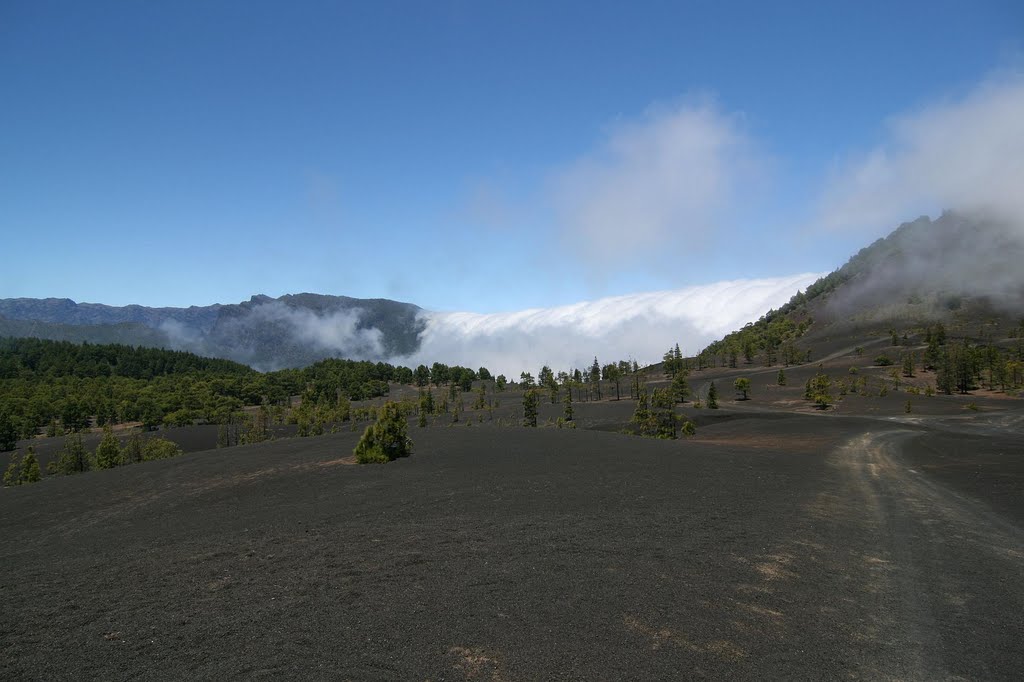 La Palma 2010 by arco_on_tour