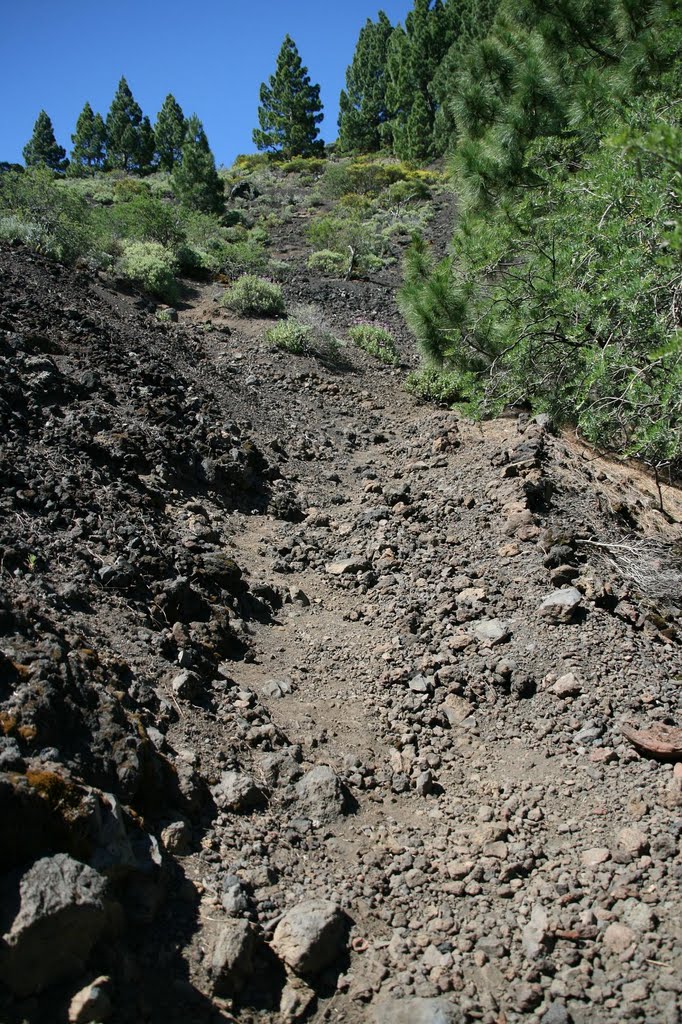 La Palma 2010: Path to the Pico Birigoyo , precipitous by arco_on_tour