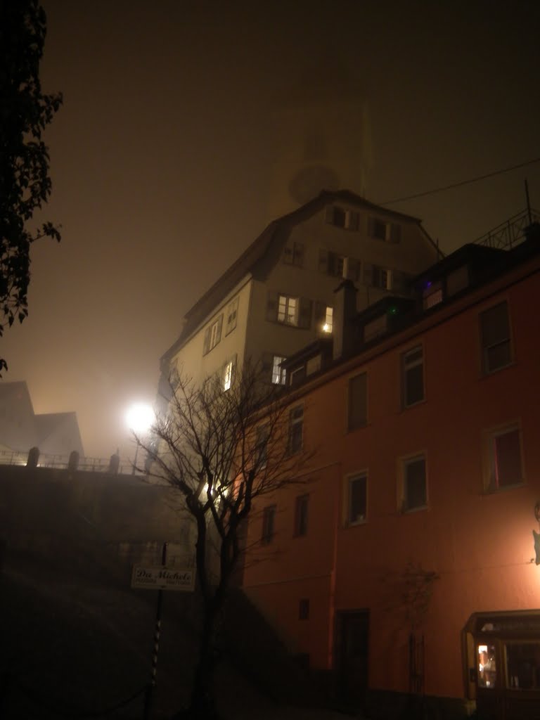 Nürtingen43 bei Nacht&Nebel Schlossberg by albrechtfoehl