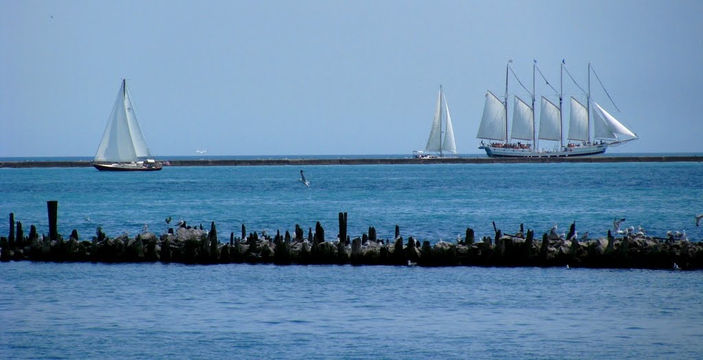 Chicago Harbor Illinois by Flavio Quijivix