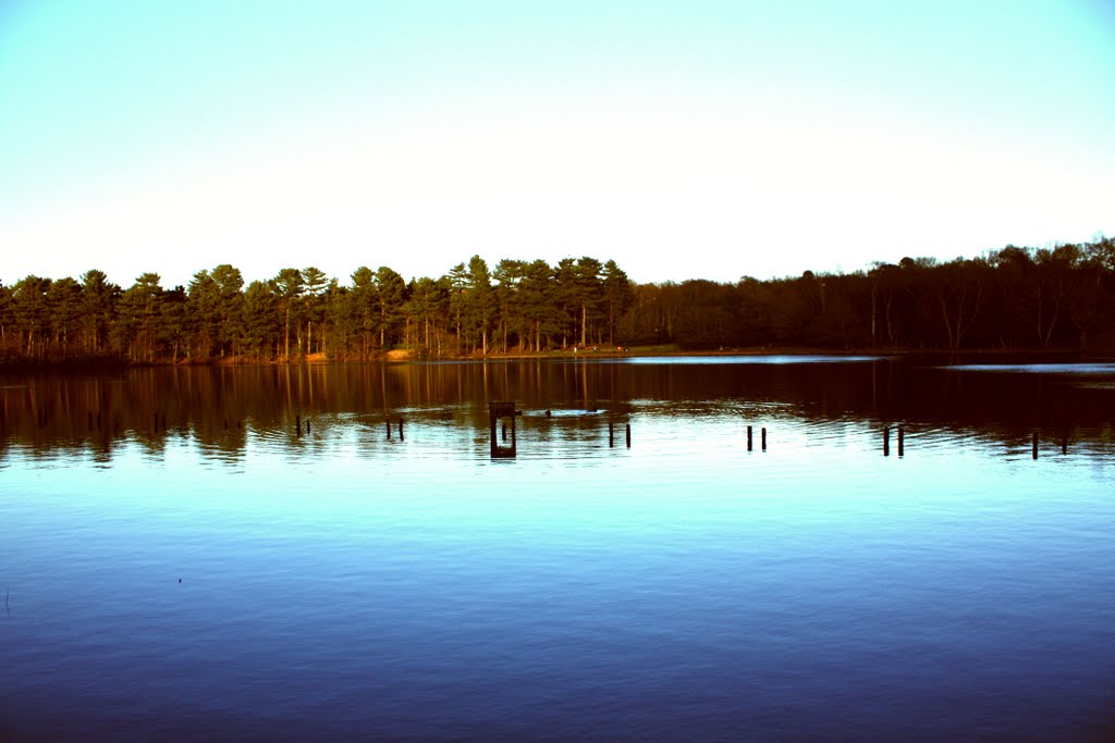 Blackroot Pool by beckybookins