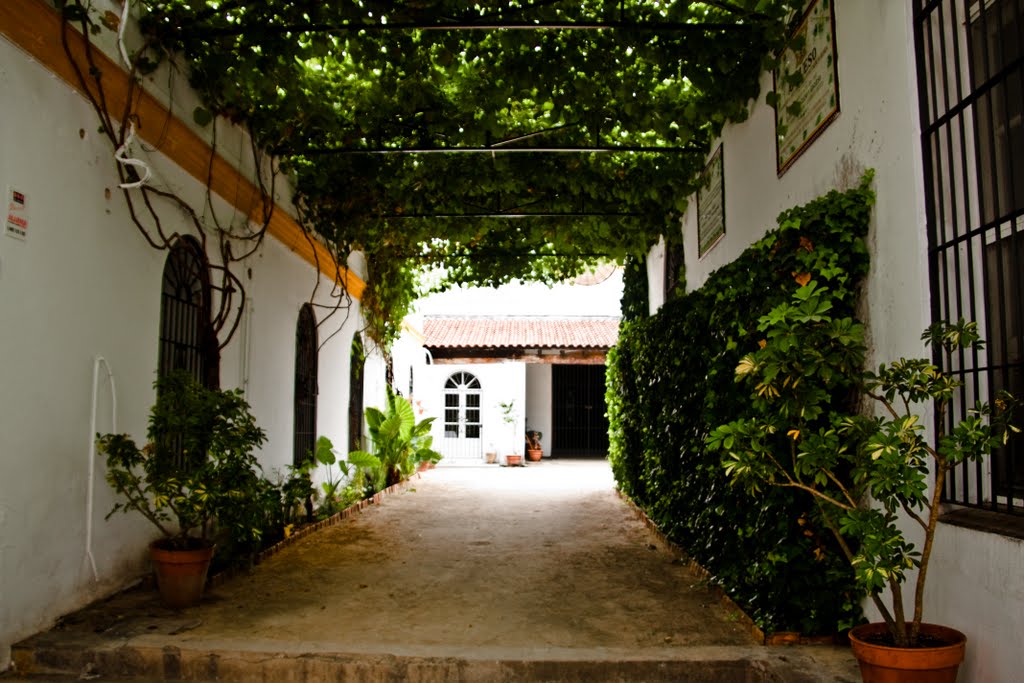 Bodegas de vino en Sanluncar by RAFAMOL