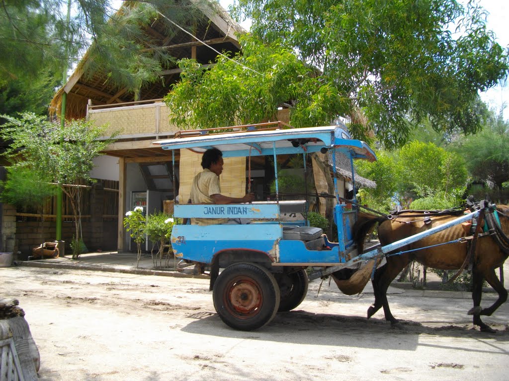 Hotel giliran-ta with horse taxi by jpbordeau