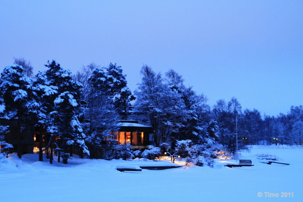 View to Kaskisaari by tmoj