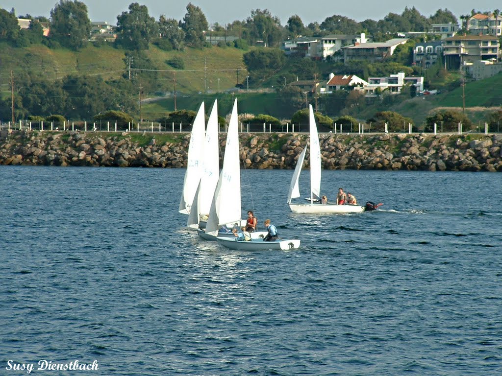 Marina Del Rey... By SusyDienstbach by Susy Dienstbach