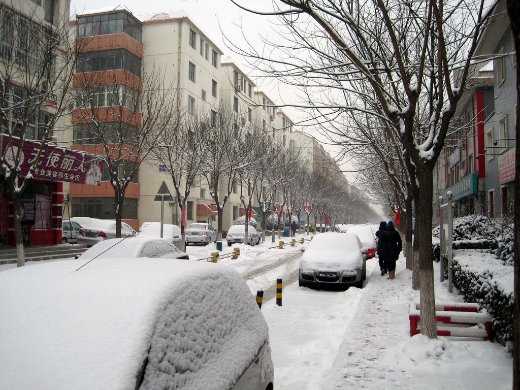 2011年的第二场雪之雪景 by zhaobaolong