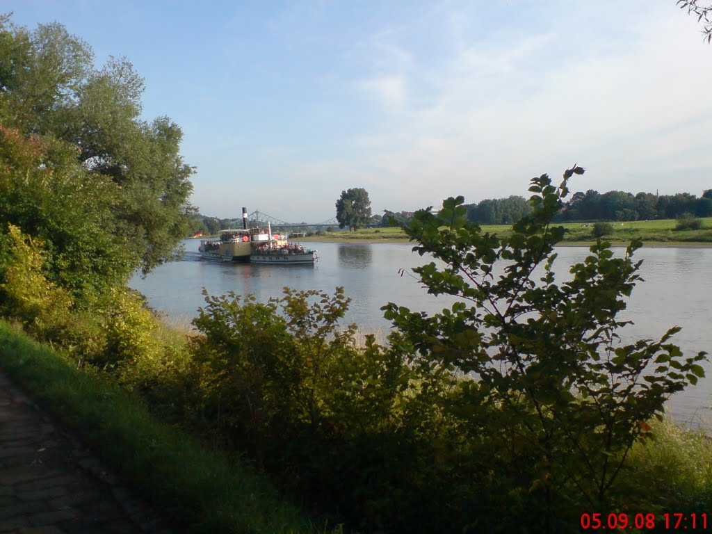 Elbdampfer in Dresden by hoppel1972