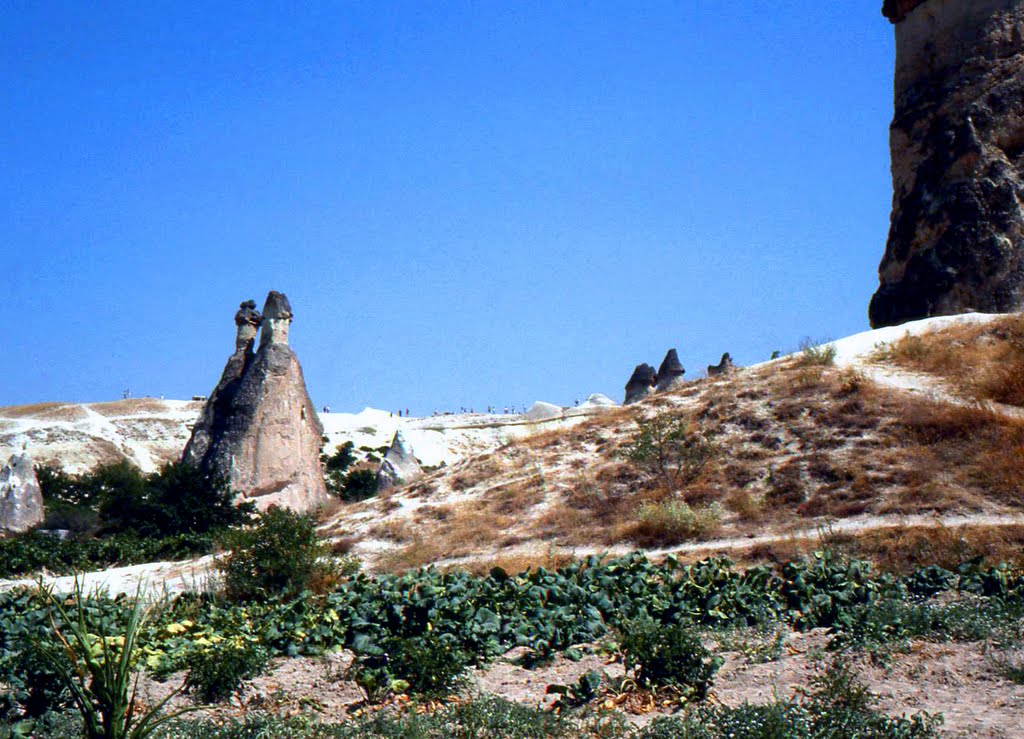 Turchia. Cappadocia, i camini delle fate. by Palmario