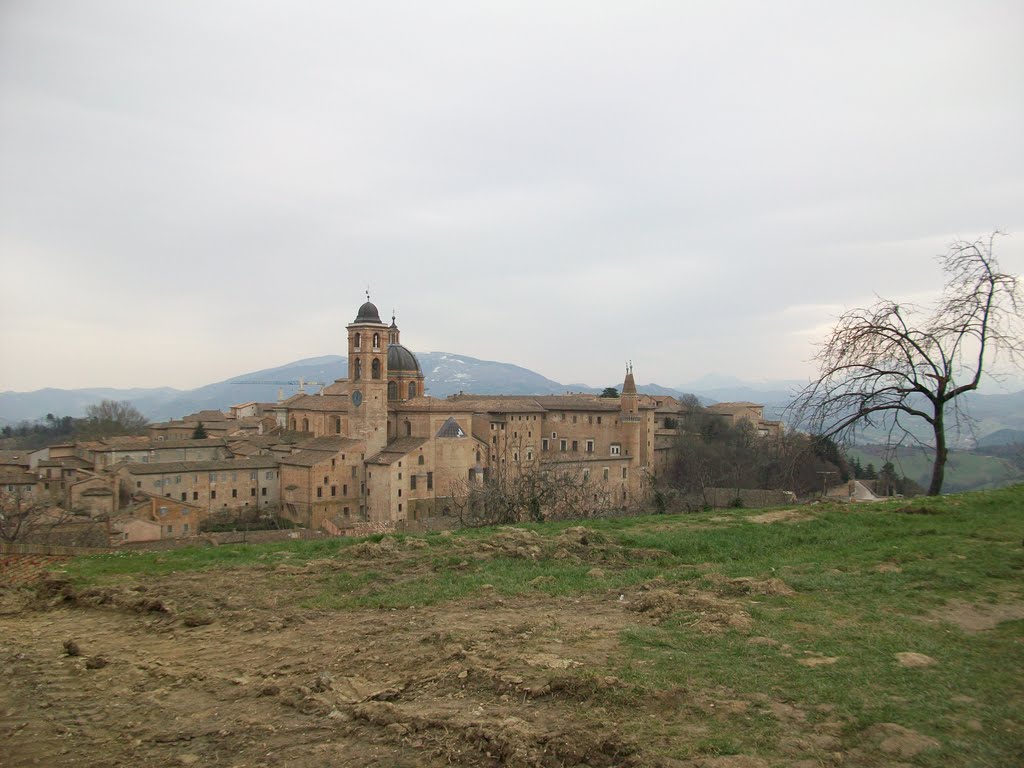 Urbino by Ismaele Valsecchi