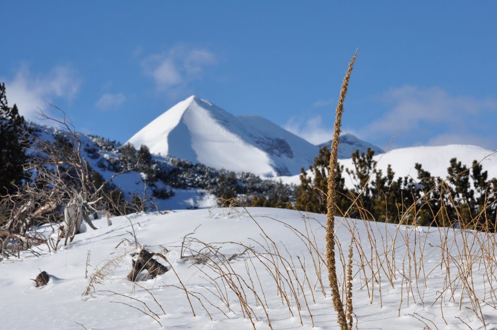 Bansko, Bulgaria by vla.di