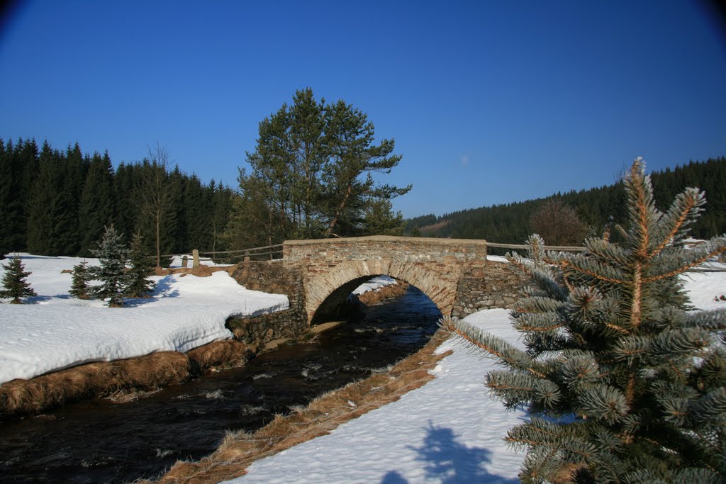 Steinbrücke im Schwarzwassertal by ZiKlaus