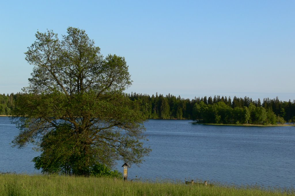 Berzoras lake, Samogitia, Lithuania by Renatorius (Reno)