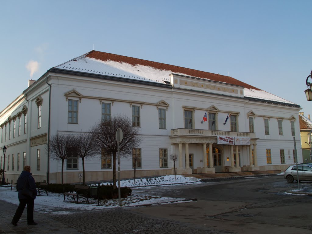 Székesfehérvár, Hotel Magyar Király by György Nehrer