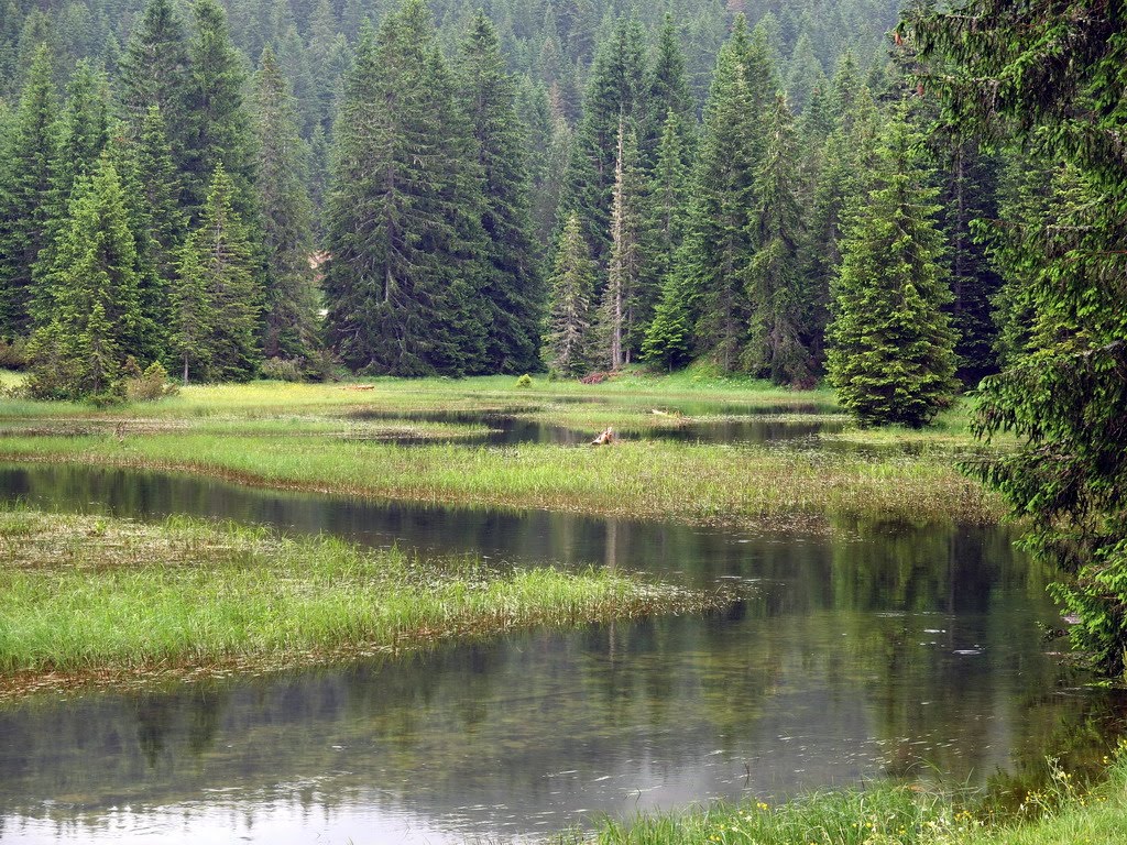 Zabljak - from Black lake by viczki