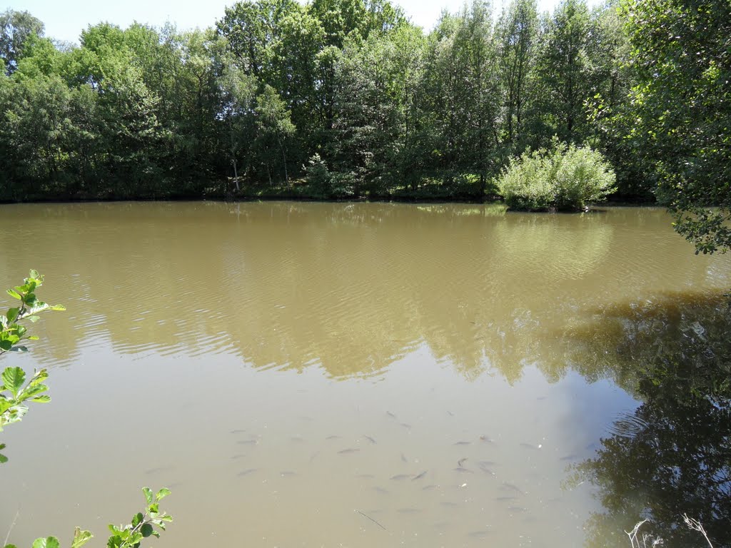 Teich im Freilichtmuseum Hessenpark 2010 by StefanFFM