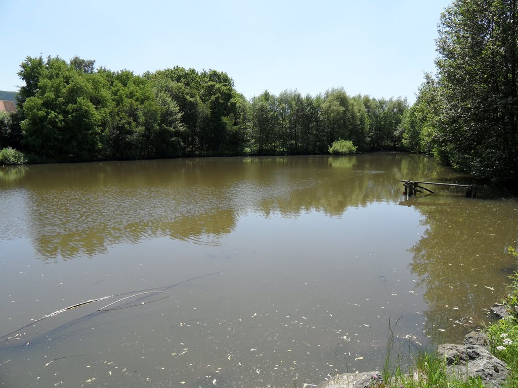 Teich im Freilichtmuseum Hessenpark 2010 by StefanFFM