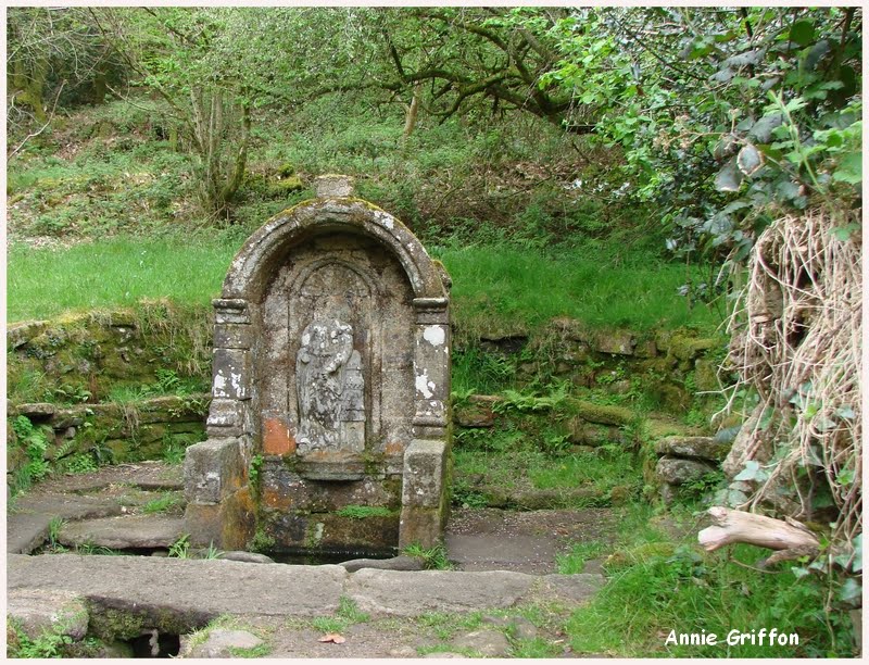 Fontaine Sainte Barbe,Le Faouèt, Morbihan by ♫ Amonite ♫