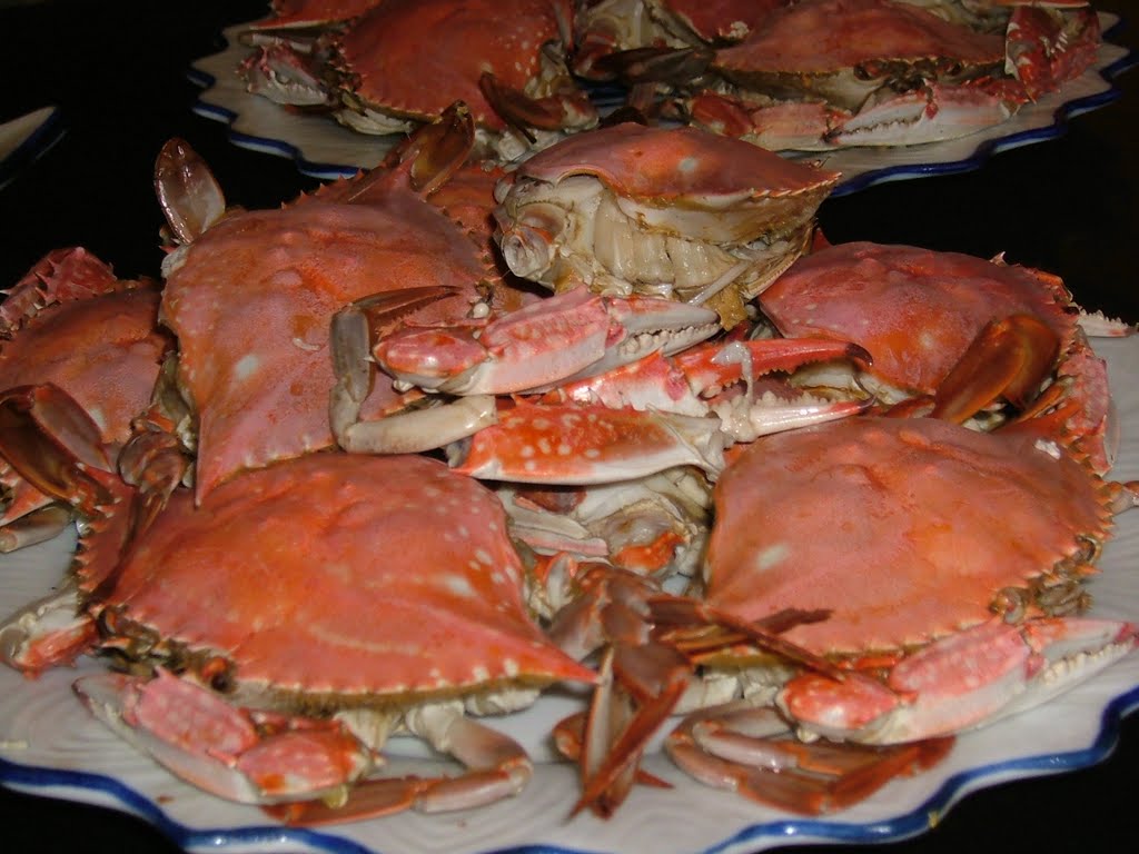 Crabs in Qingdao by Tai-Te