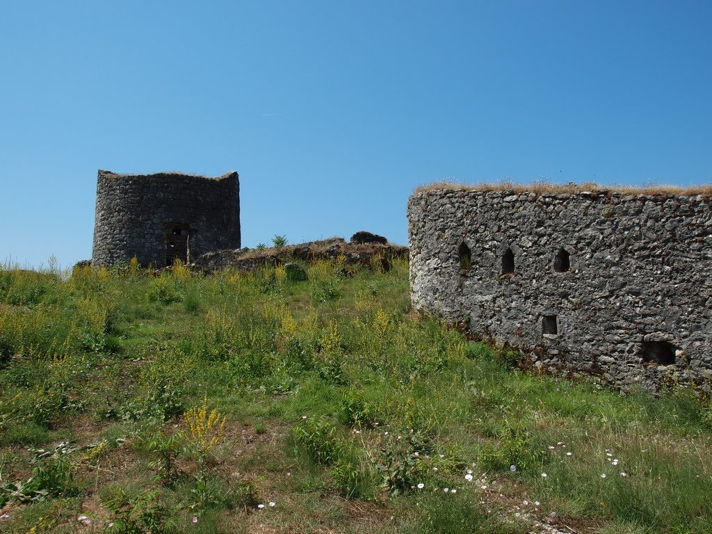 Lesendro castle along the Shkodra lake by viczki