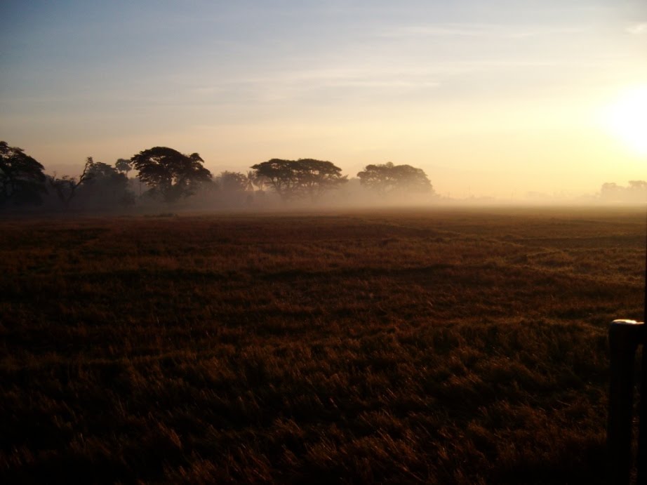 Beautiful winter of Myanmar by konyiminn