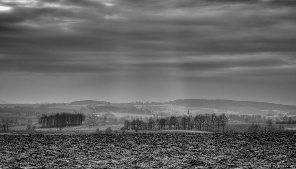 Widok na Grabiszyce by Jacek Staszczuk