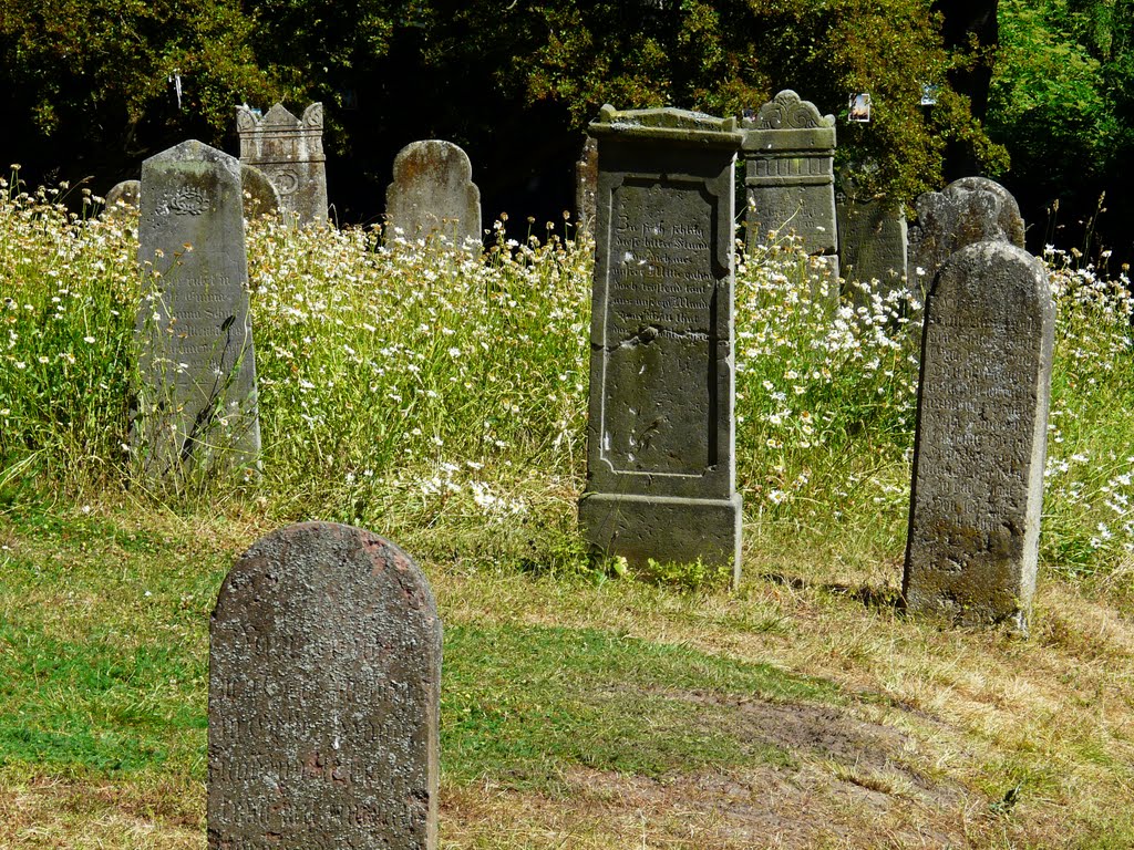 Germany_Western Pomerania_Ruegen Island_Altenkirchen_brickstone-gothic Parish Church_old tombstones on the cemetary_P1150440.JPG by George Charleston