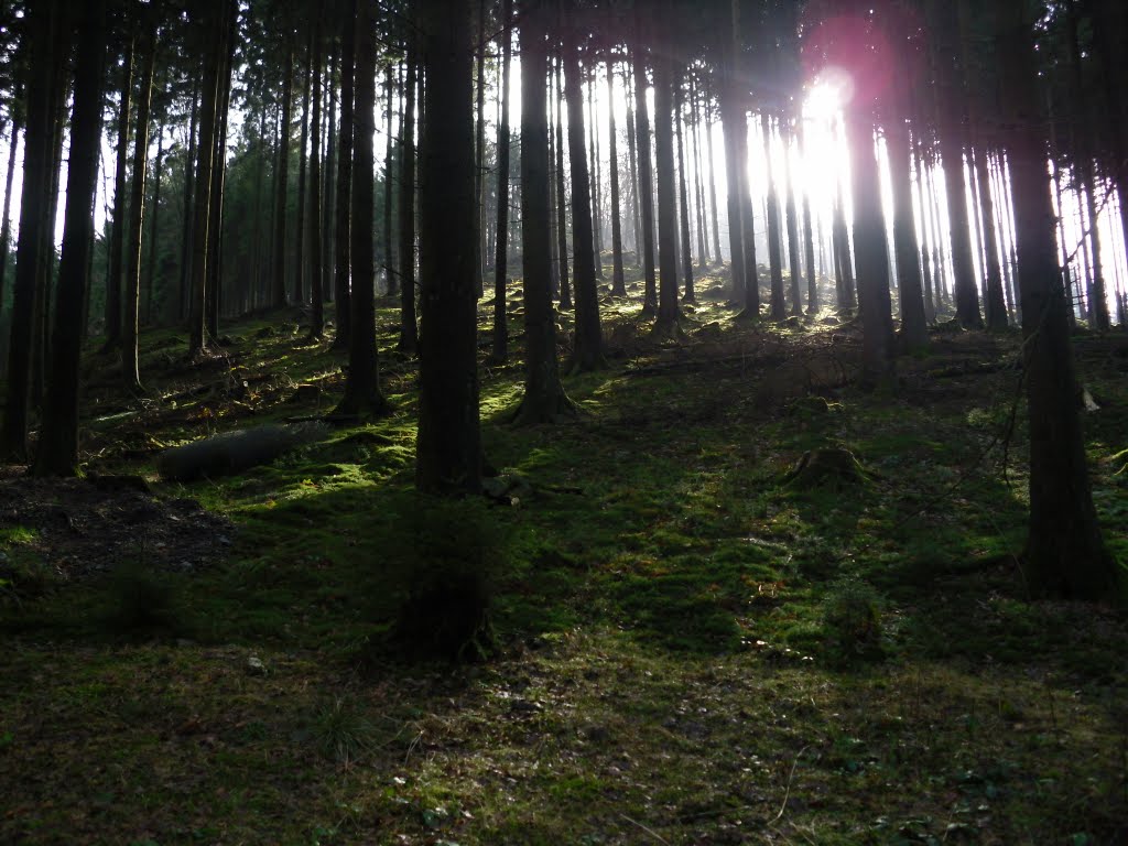 Der Frühling naht... by Ralf Wangemann