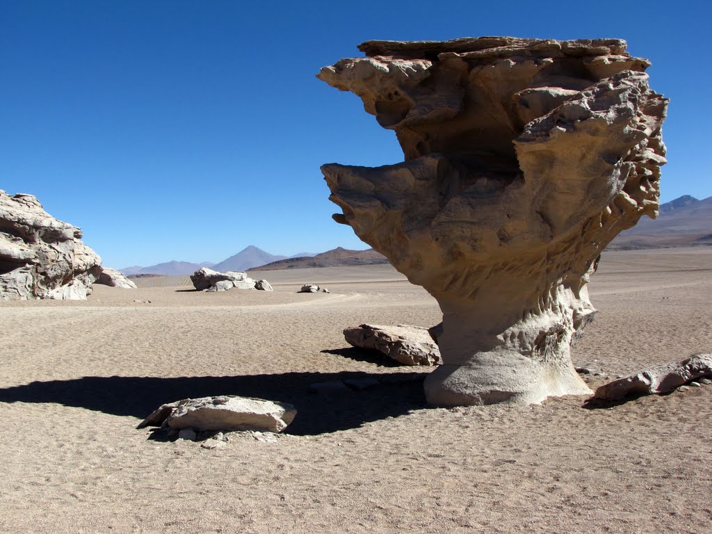 Arbol de piedra II by FabriSalusso