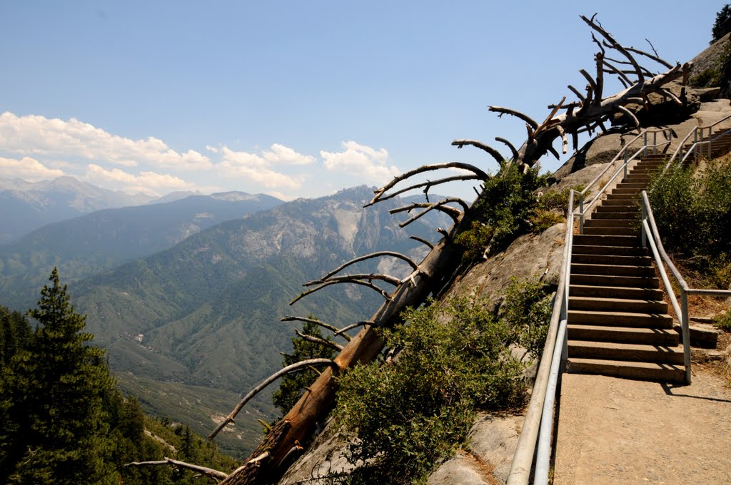 Sequoia Nal Park; Moro Rock by Philippe Nieto