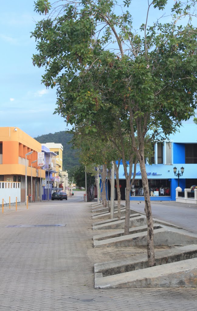 Calles del Casco Urbano-Humacao by Ricardo David Jusino