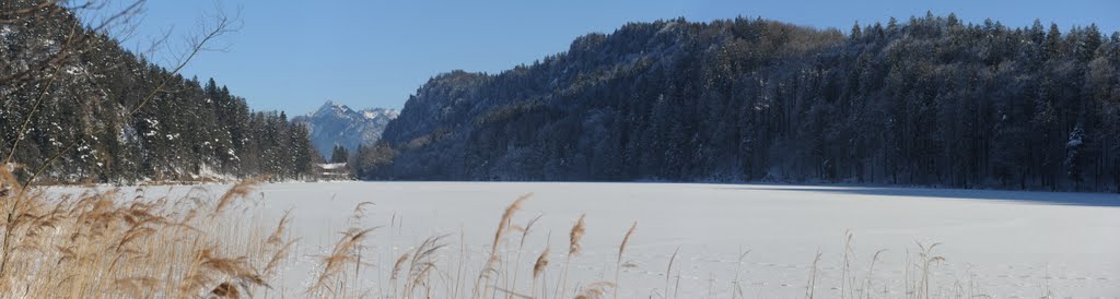 Alatsee im Februar 2011: Blick über den See in Richtung Tegelberg by mattes61