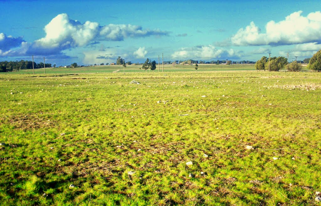 "UN CAMPO CON CALLES DESIERTAS" by romualdoemilio