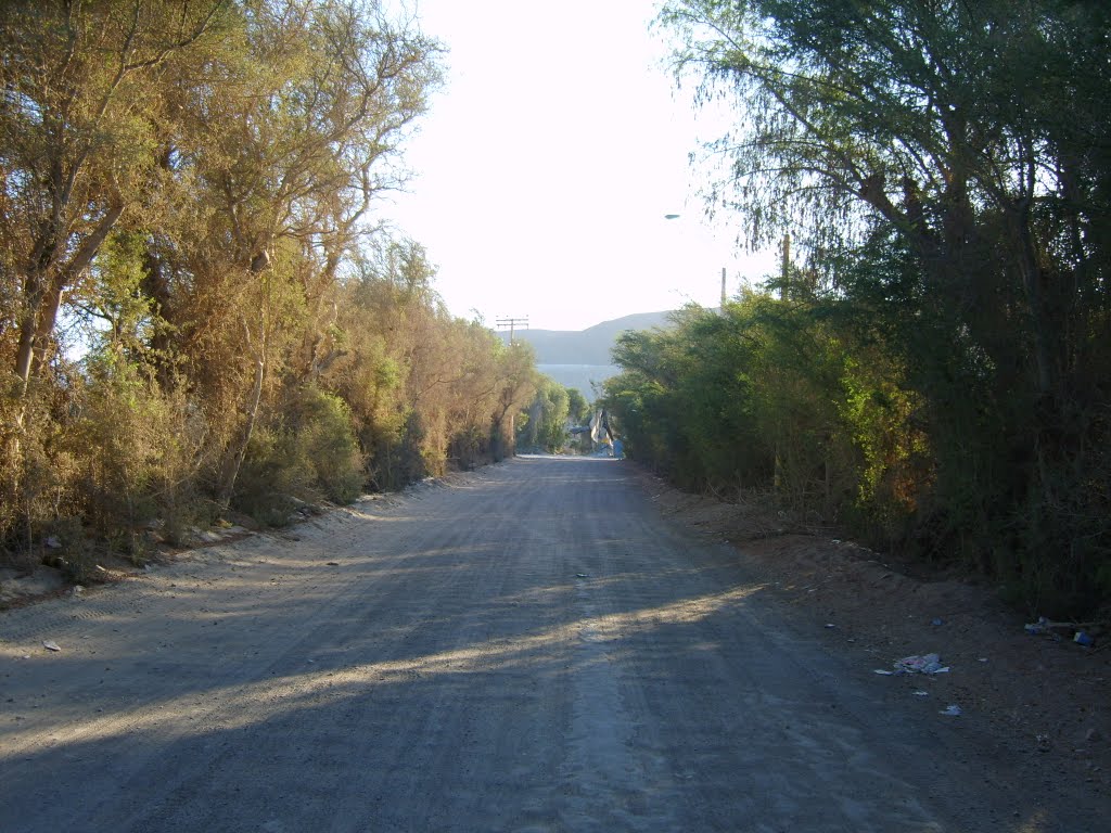 Callejón El Inca hacia el río Copiapó by Seba Flores