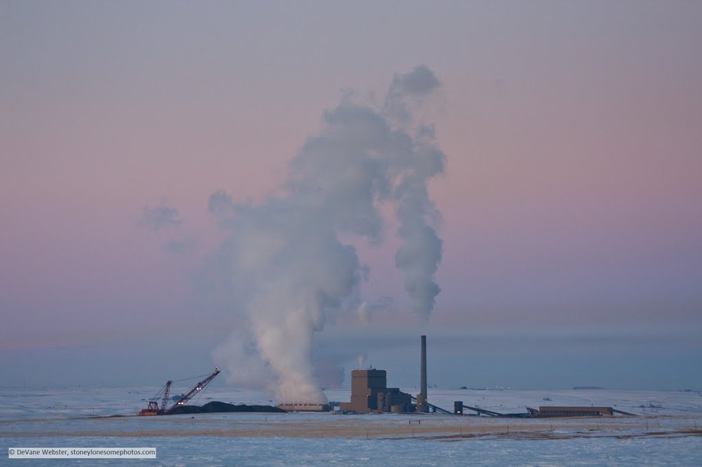 Coyote Plant at dusk by DeVane Webster