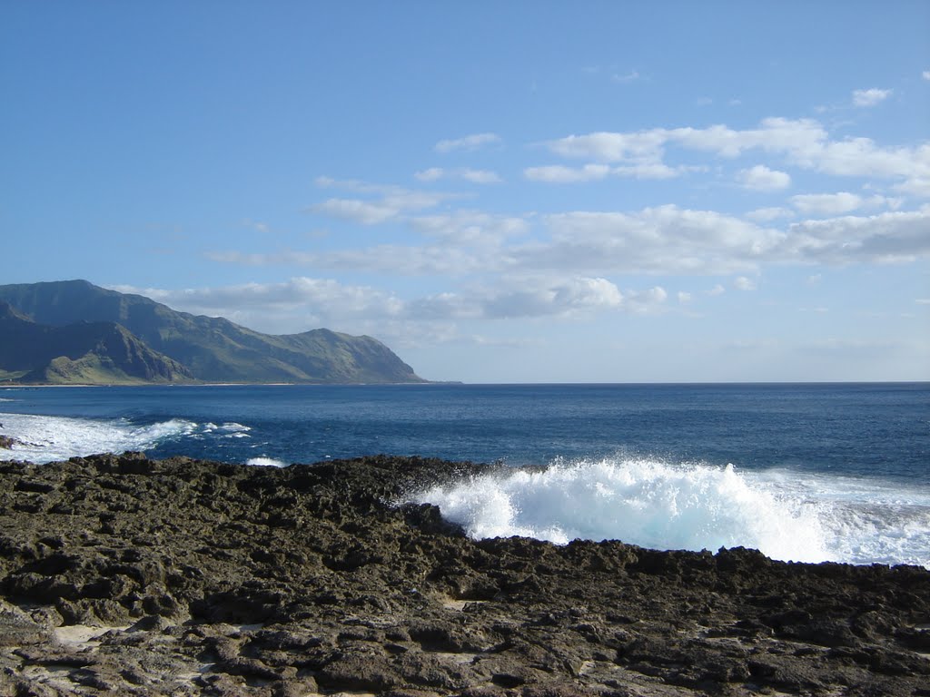 Kaena point state park by dschmitz