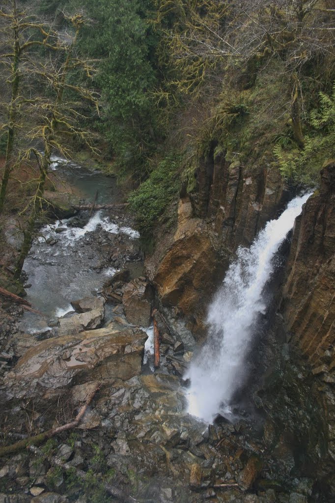 Drift Creek Falls by Horner69