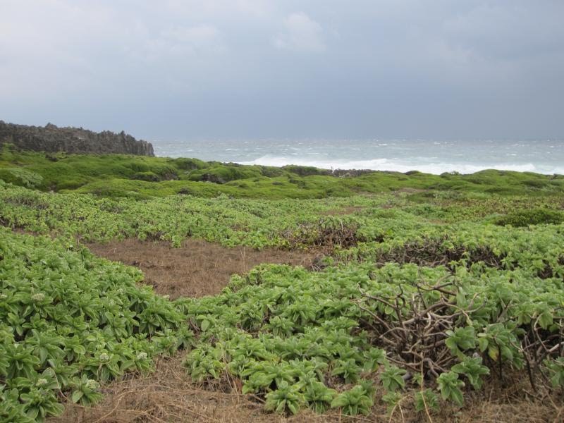 Longkeng Ecology Protection Area by Chih-Hao Tsai