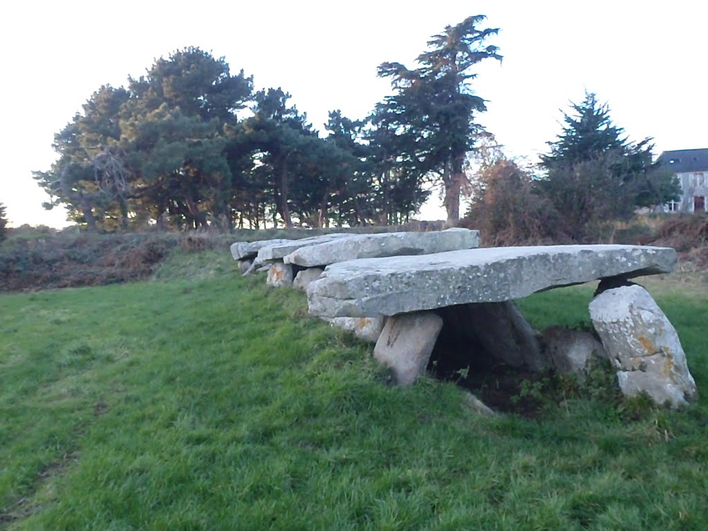 Prat Ar Menhir, Trébeurden (22) by katricoin