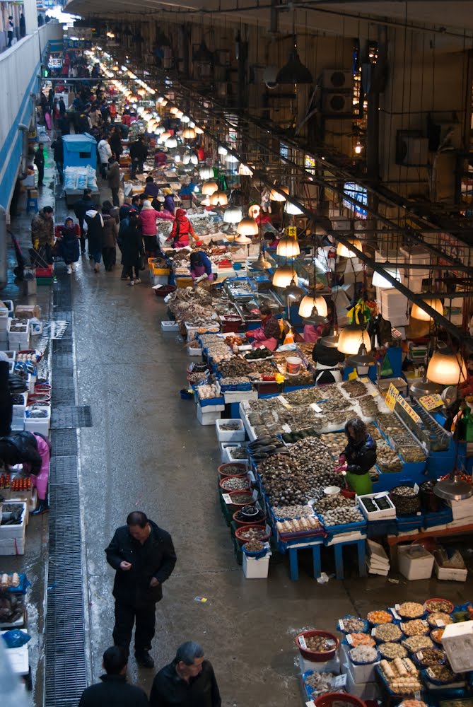 Noryangjin Fisheries Market by yberdnikov