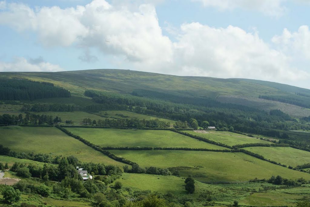 Campagne irlandaise près de Glencree by Christophe Beuret