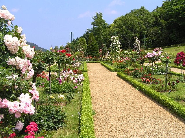 河津町　バガテル公園 by www.izurainbow.com