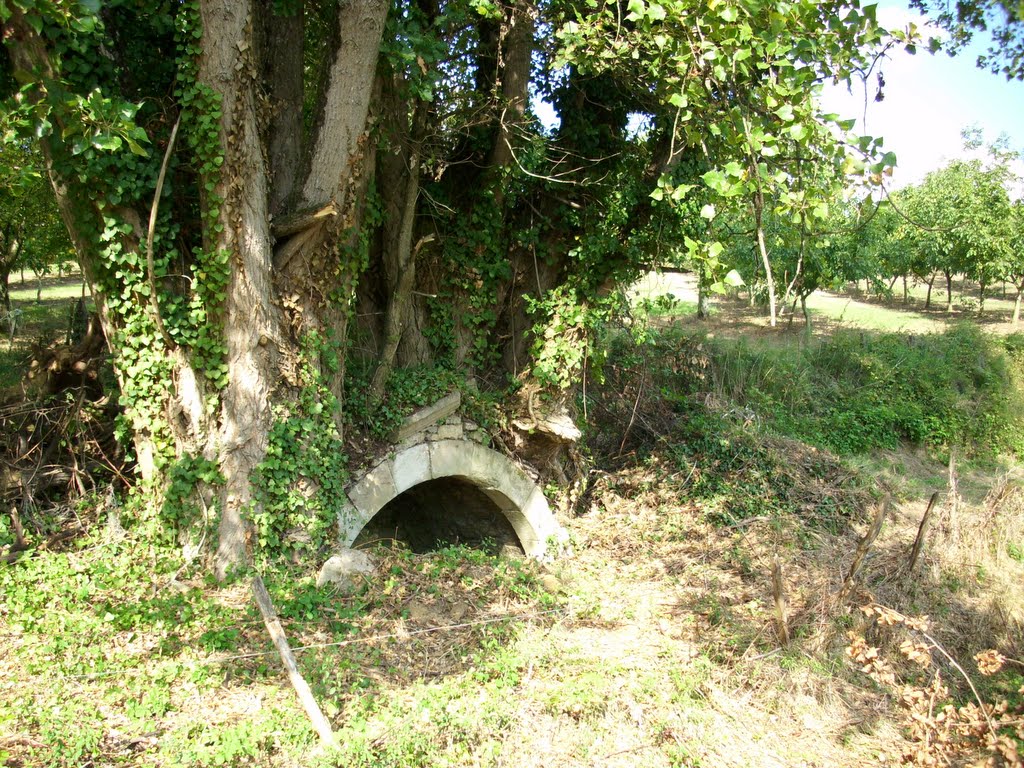 La "Font Grande " fontaine d'Astaillac by catoire