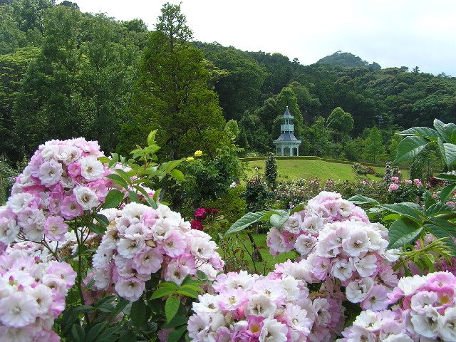 河津町　バガテル公園 by www.izurainbow.com