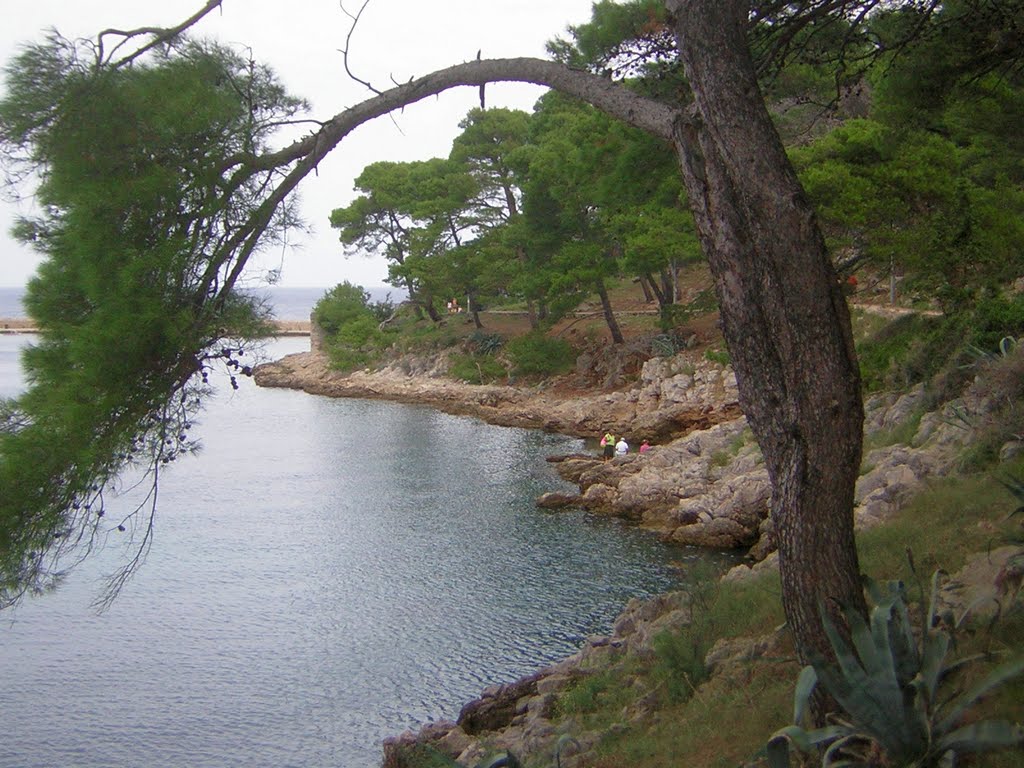 "Arch" over the bay by Galacs