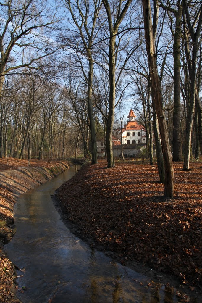 Park z Pałacykiem w tle by Jaromir Chojecki