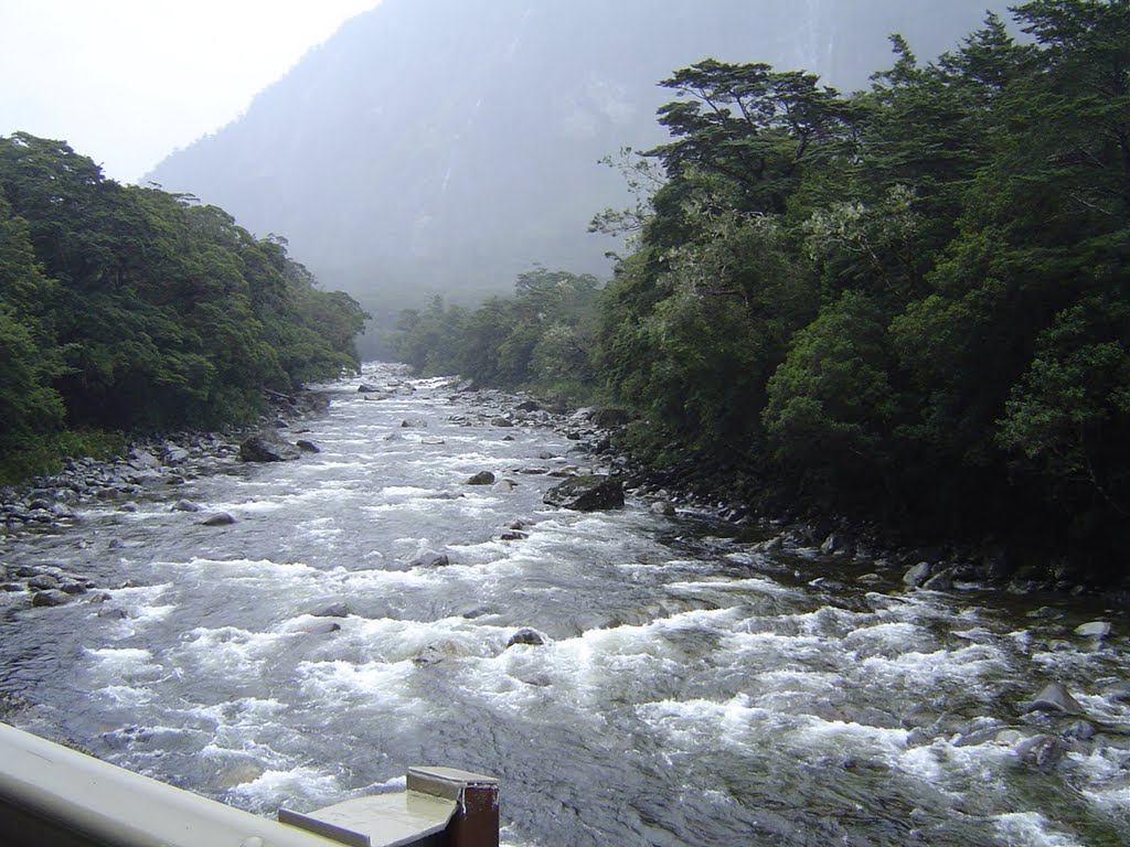 Another gorgeous stream on the way to Milford Sound by P Archer