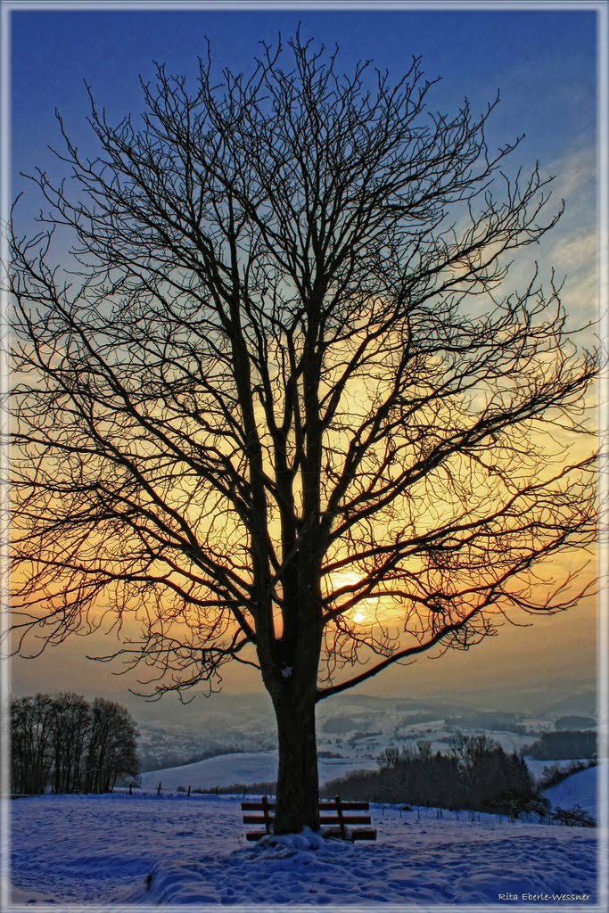 Silhouette in the sunrise by Rita Eberle-Wessner