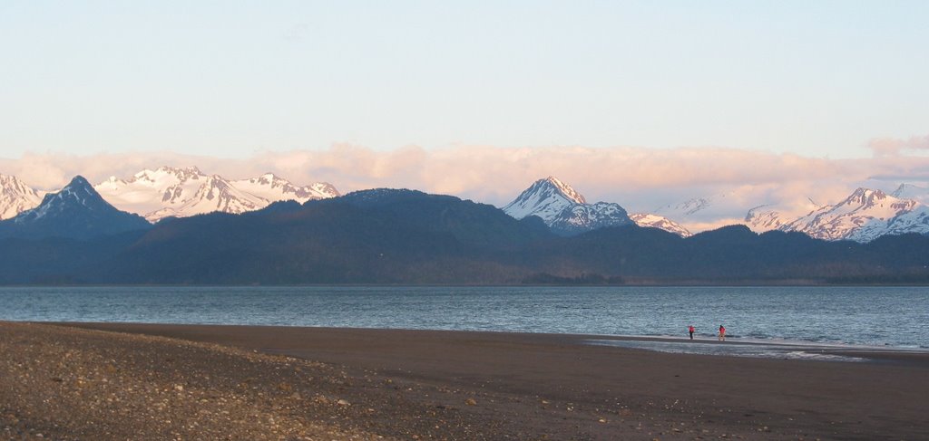 Homer Beach by lummerzheim