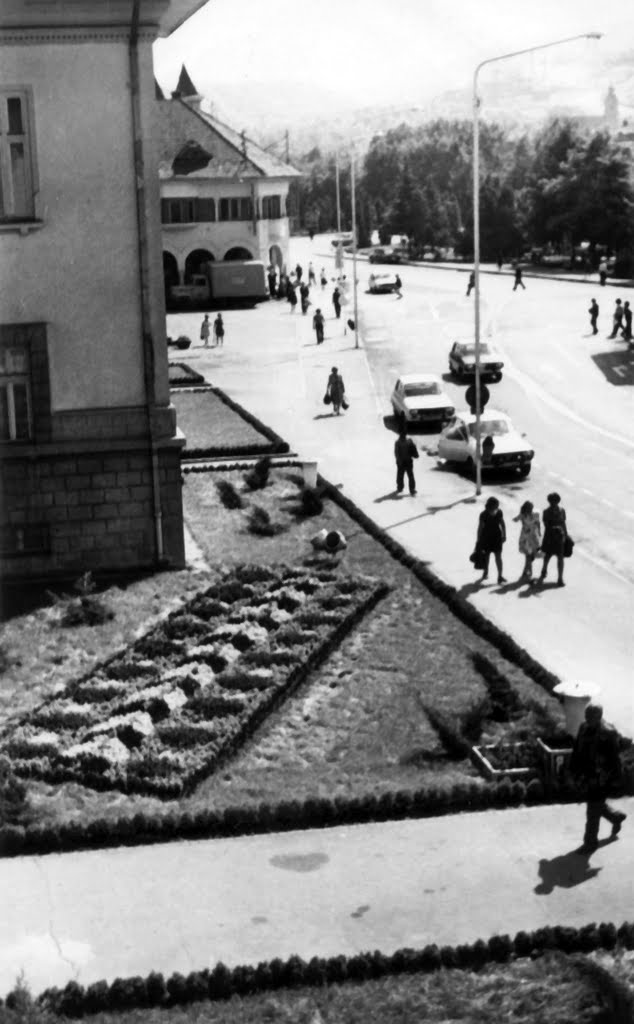 Vedere din primăria municipiului Hunedoara - View from Hunedoara's town hall by Rudolf Hanzelik