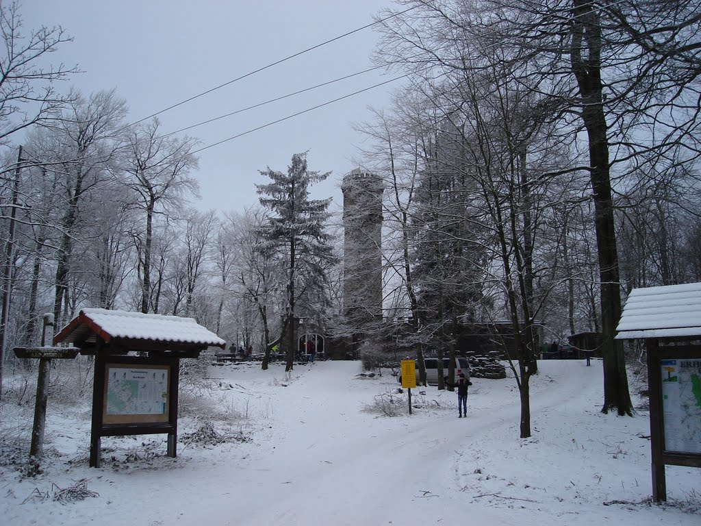 Ein dunkler Tag am Nordmannsturm - 31.01.2011 by K-D Heinrich